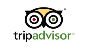 Write a review of Sunny Days Prestige Travel on TripAdvisor